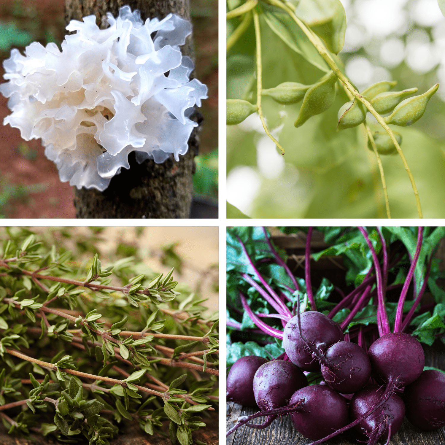 Bright Face Serum with Niacinamide — No.19 Products